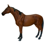 Life Size Horse
