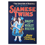 Oversized Vintage Poster - Siamese Twins