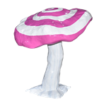 Medium Magic Mushroom