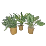 Assorted Faux Plants - Set of (3)
