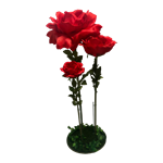 Rose Flower Set - Red