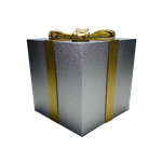 Silver Gift Box with Gold Bow