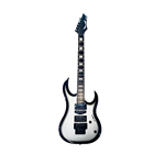 Silver and Black Guitar