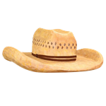 Oversized Cowboy Hat