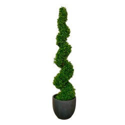 Spiral Topiary Tree