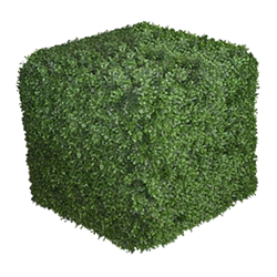 Topiary Cube