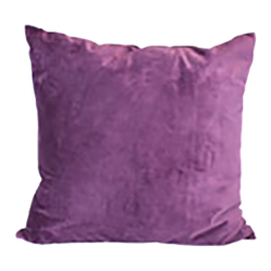 Plum Velvet Pillow