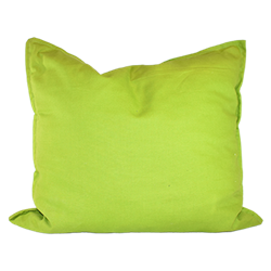 Lime Green Canvas Pillow