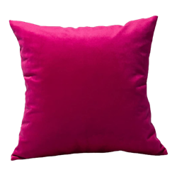 Raspberry Velvet Pillow