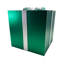 Green Gift Box with Silver Bow
