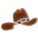 Neon Cowboy Hat