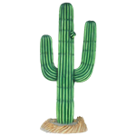 Cactus 6' Tall