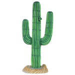 Cactus 6' Tall