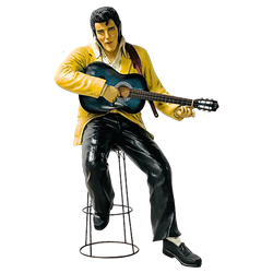 Sitting Guitar Player