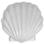 Large Sea Shell