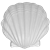 Large Sea Shell
