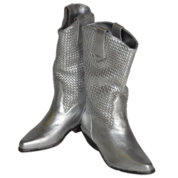Pair of Silver Cowboy Boots