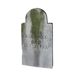 Headstone Bloodroot