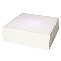 White Platform 36" x 36" x 12"