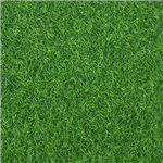 Custom Artificial Grass