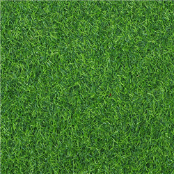 Custom Artificial Grass