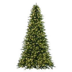 Green Lighted Tree 9-10'