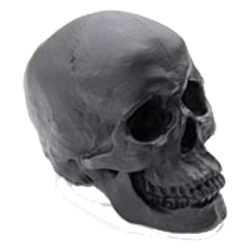 Black Faux Skull