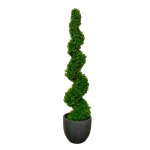 Spiral Topiary Tree