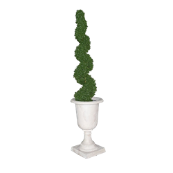 Spiral Topiary in Marble Urn