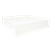 White Plexi Stage 4' x 4' x 12"