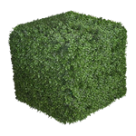 Topiary Cube