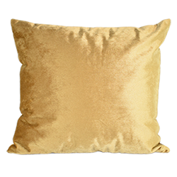 Gold Velvet Pillow