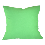 Kelly Green Pillow