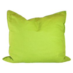 Lime Green Canvas Pillow