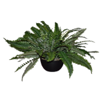 Faux Fern
