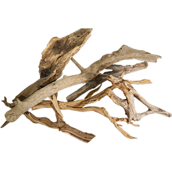 Driftwood Scatter Package