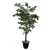 Faux Ficus Tree 6'