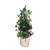Faux Ficus Tree 4'