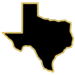 Texas LED Neon