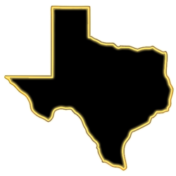 Texas - Multicolor LED Neon