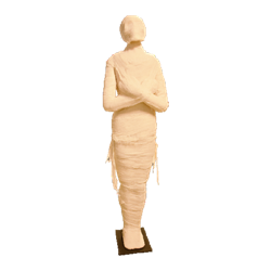 Egyptian  Mummy