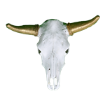 Cow Skull - Gold Horns