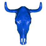 Cow Skull - Custom Paint