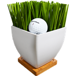 Golf Centerpiece