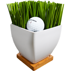 Golf Centerpiece