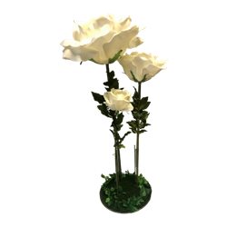 Rose Flower Set - Ivory