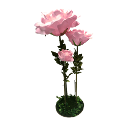 Rose Flower Set - Pink