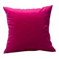 Raspberry Velvet Pillow
