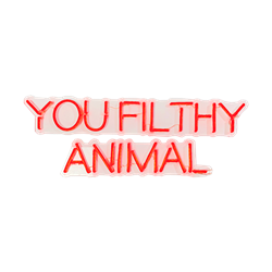 You Filthy Animal LED Neon with Acrylic Back