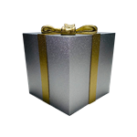 Silver Gift Box with Gold Bow